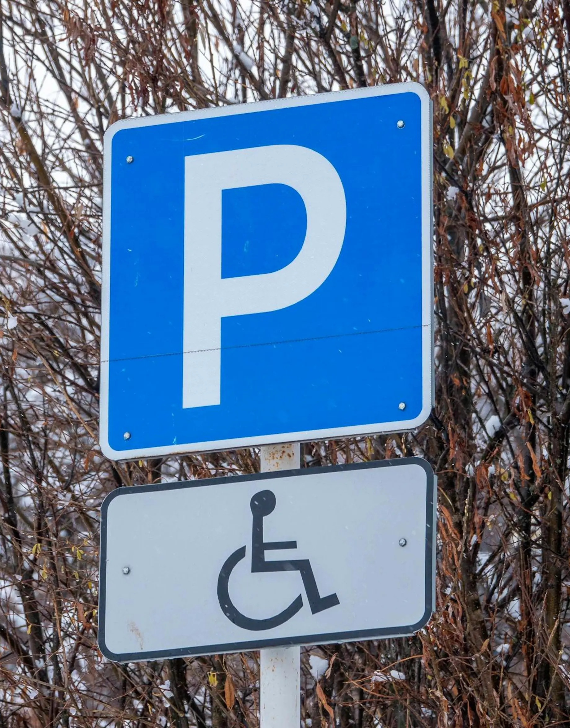 Segnale verticale di un parcheggio per persona PMR
